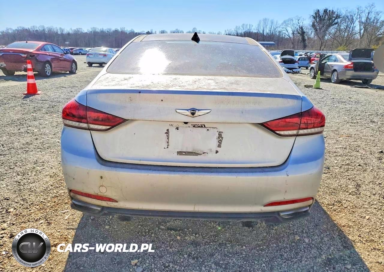 2016 Hyundai Genesis 3.8L VIN:KMHGN4JE4GU139595 - 6