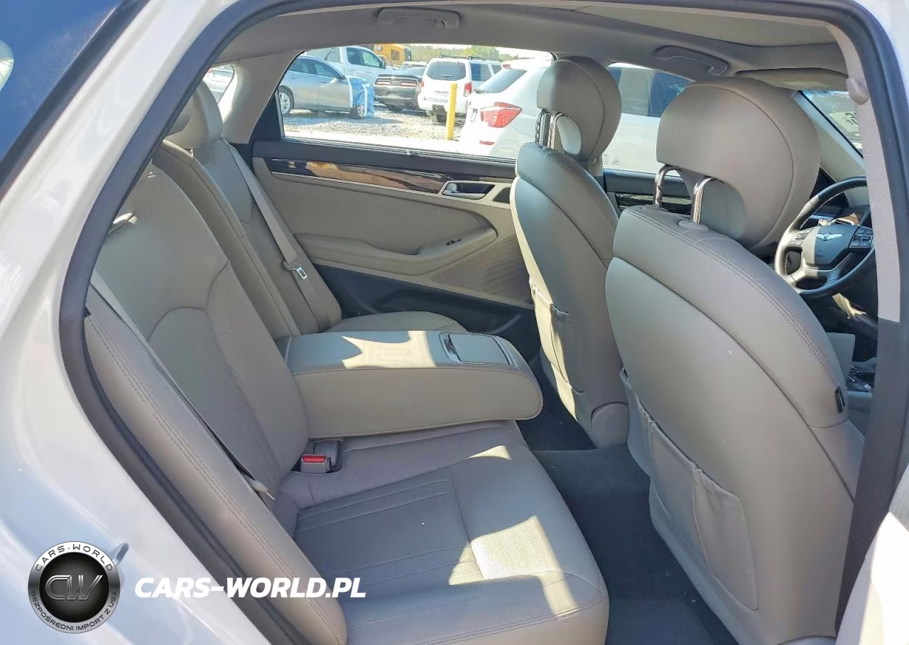 2017 Genesis G80 3.8 VIN:KMHGN4JE6HU182479 - 10