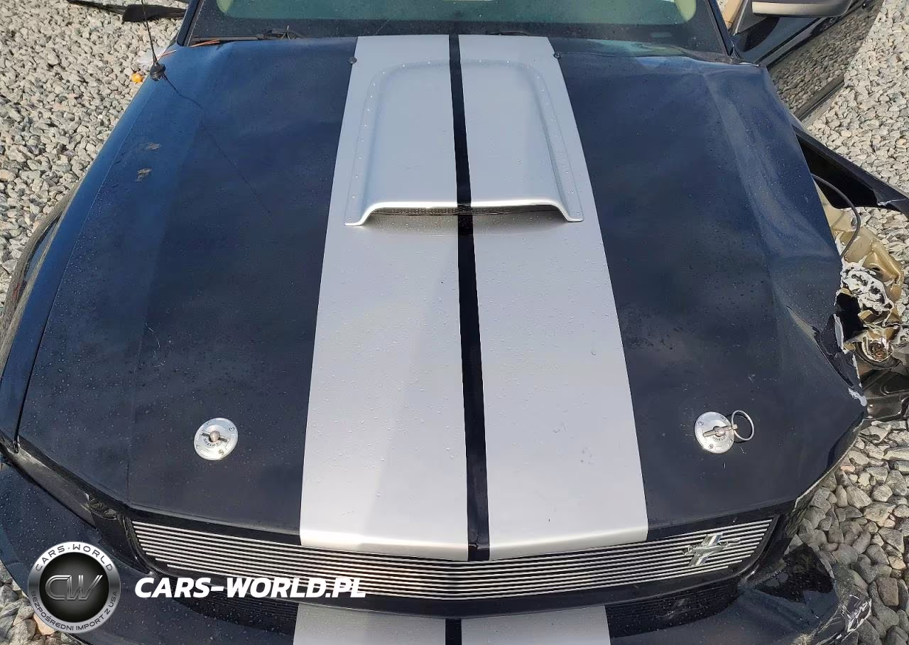 2007 Ford Mustang Gt VIN:1ZVHT82HX75289216 - 11