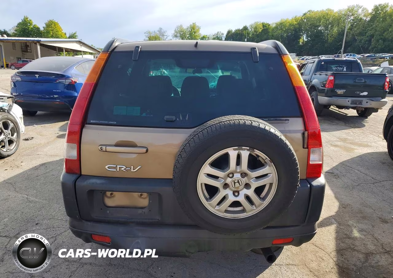 2004 Honda Cr-V Ex VIN:SHSRD78844U206291 - 6