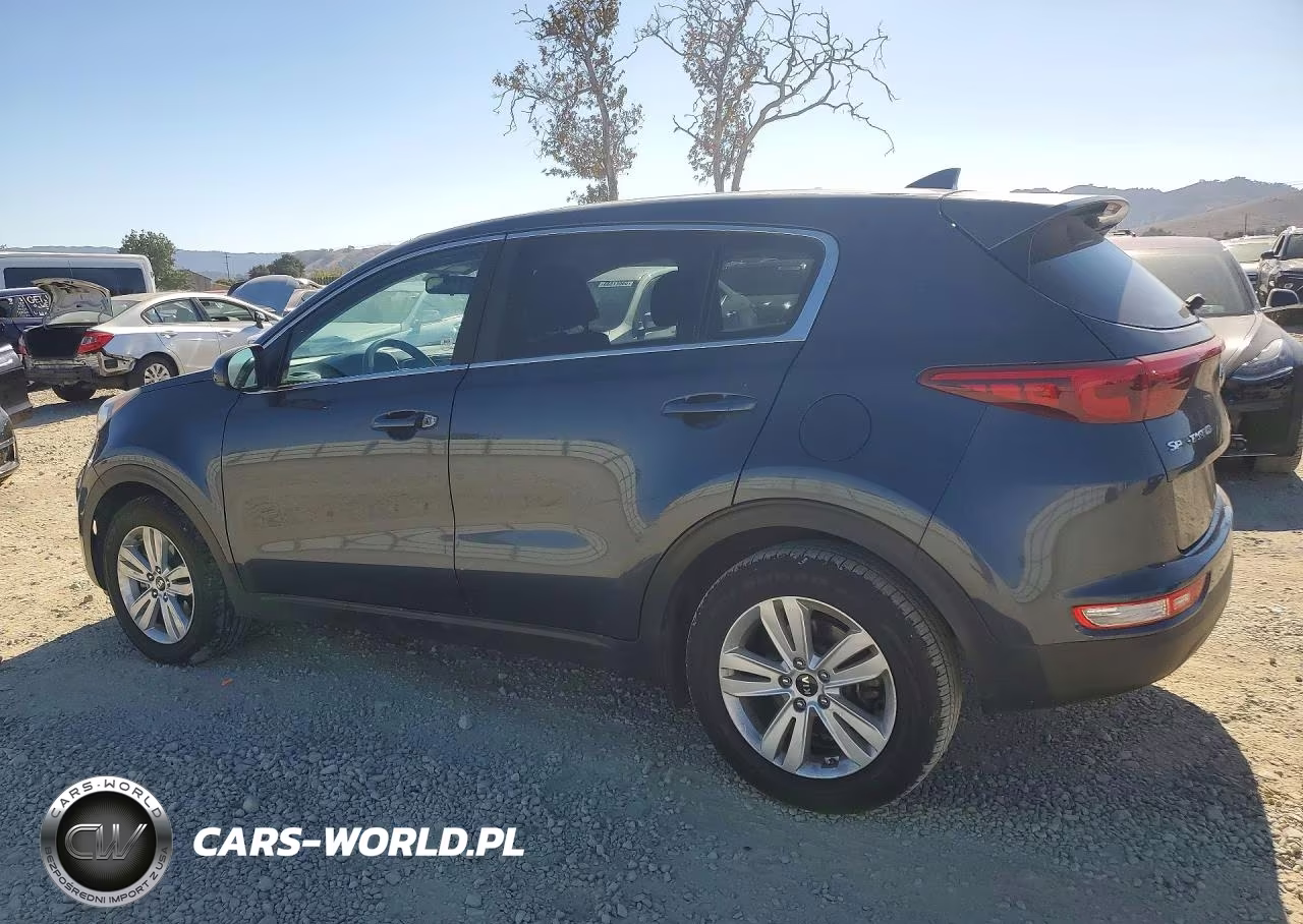 2019 Kia Sportage Lx VIN:KNDPM3AC0K7593995 - 2