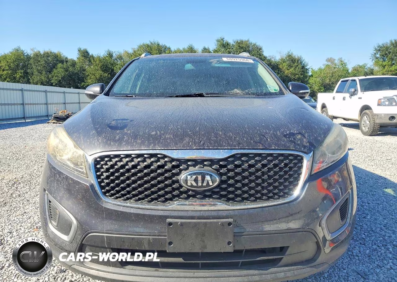 2016 Kia Sorento Lx VIN:5XYPG4A31GG058665 - 5