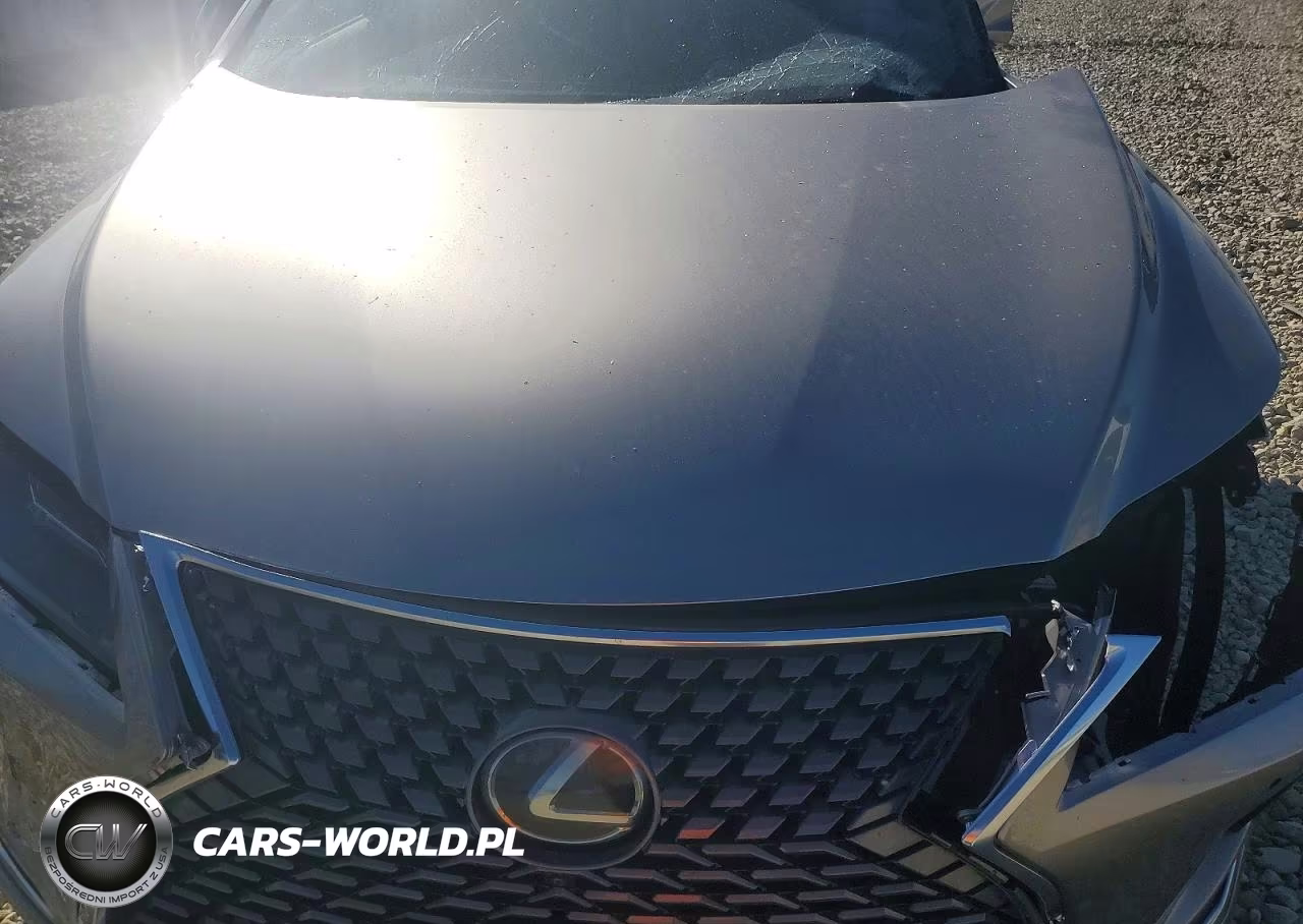 2021 Lexus Rx 350 VIN:2T2HZMDAXMC270038 - 12