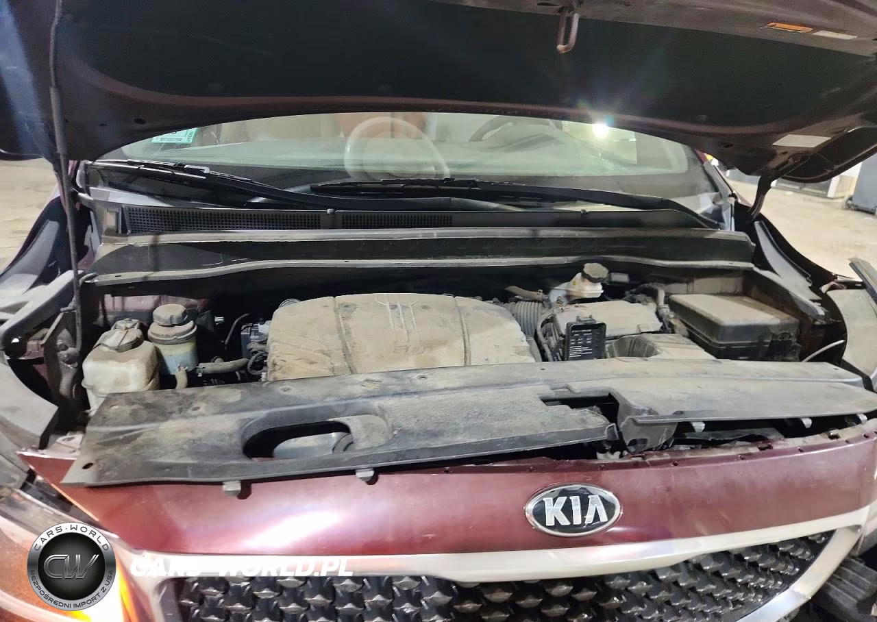 2016 Kia Sedona Lx VIN:KNDMB5C10G6161193 - 12