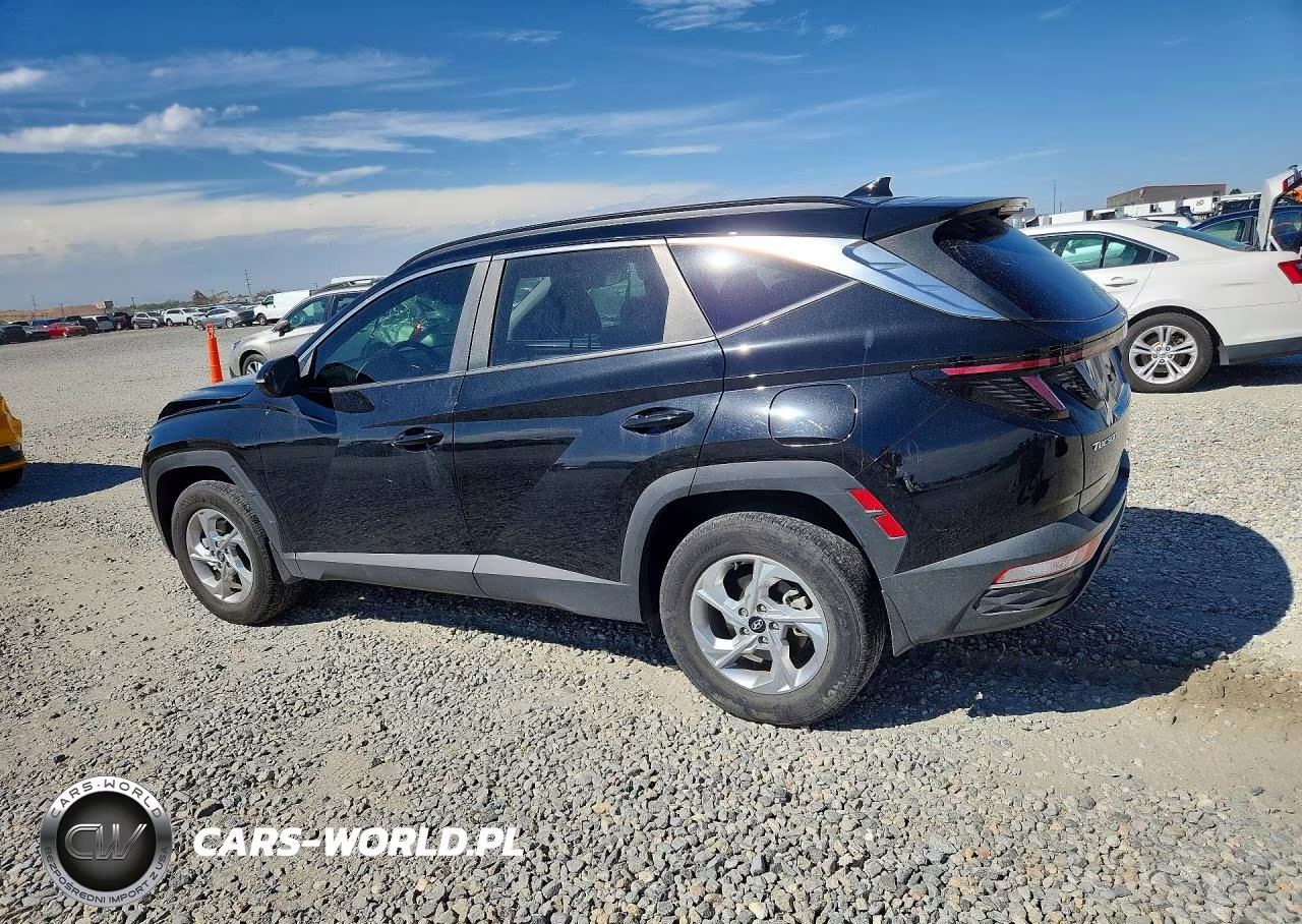 2023 Hyundai Tucson Sel VIN:5NMJBCAE4PH239572 - 2