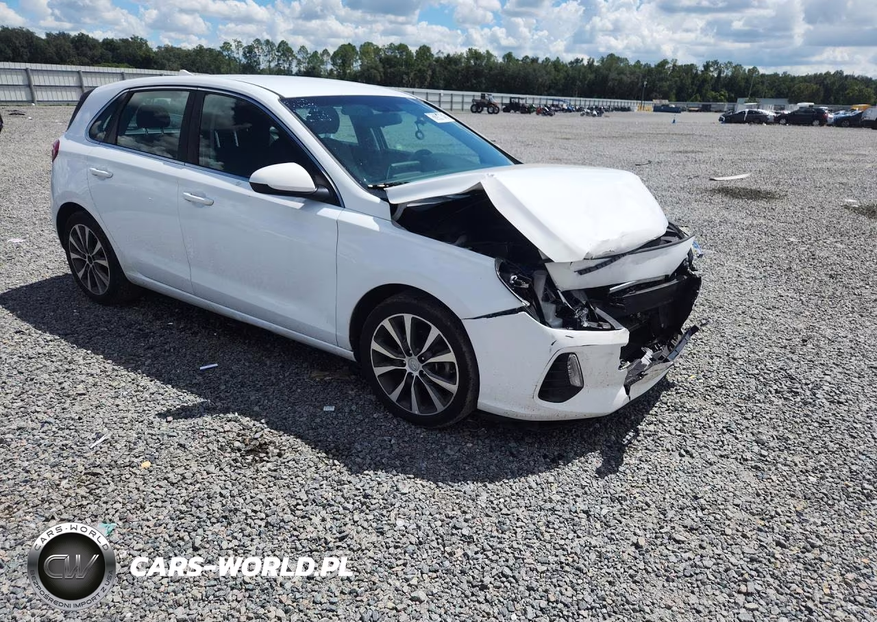 2019 Hyundai Elantra Gt Base VIN:KMHH35LE8KU094750 - 4