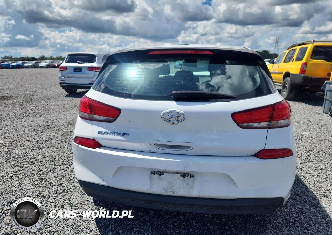 2019 Hyundai Elantra Gt Base VIN:KMHH35LE8KU094750 - 6