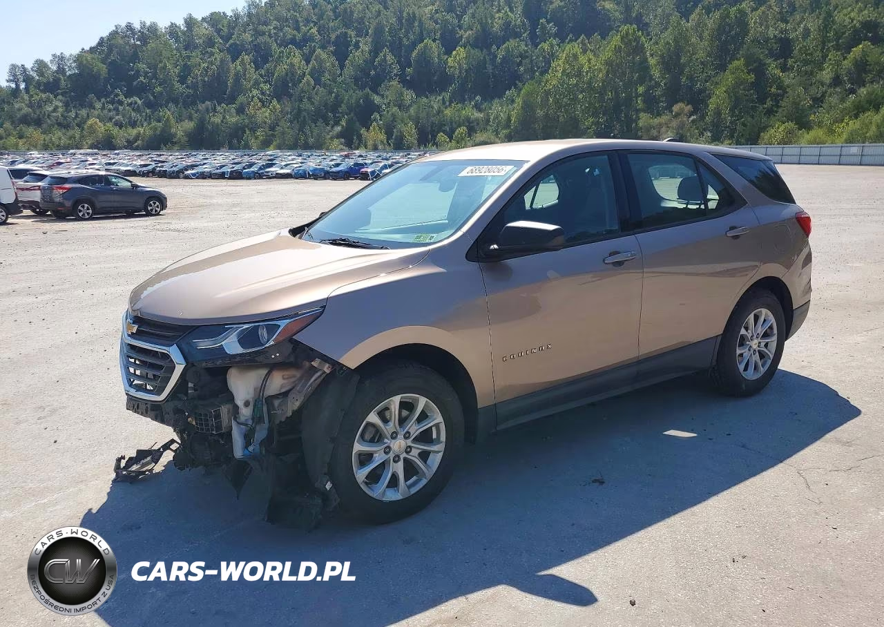 2018 Chevrolet Equinox Ls VIN:2GNAXHEVXJ6158784 - 1