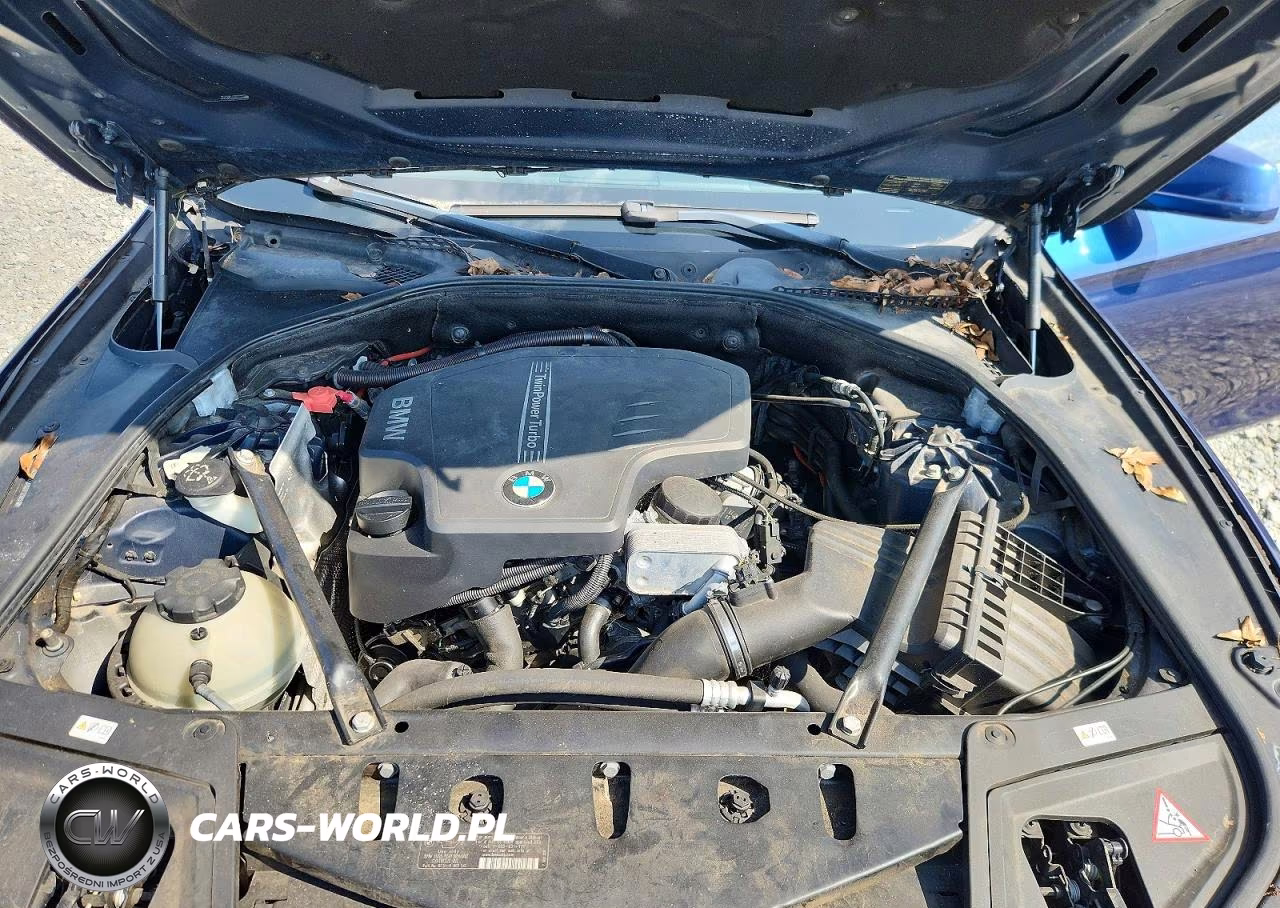 2013 BMW 528 Xi VIN:WBAXH5C50DD107296 - 11