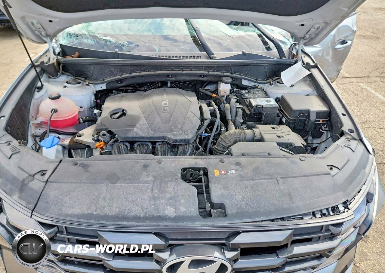 2025 Hyundai Tucson Sel VIN:5NMJB3DE6SH482241 - 12