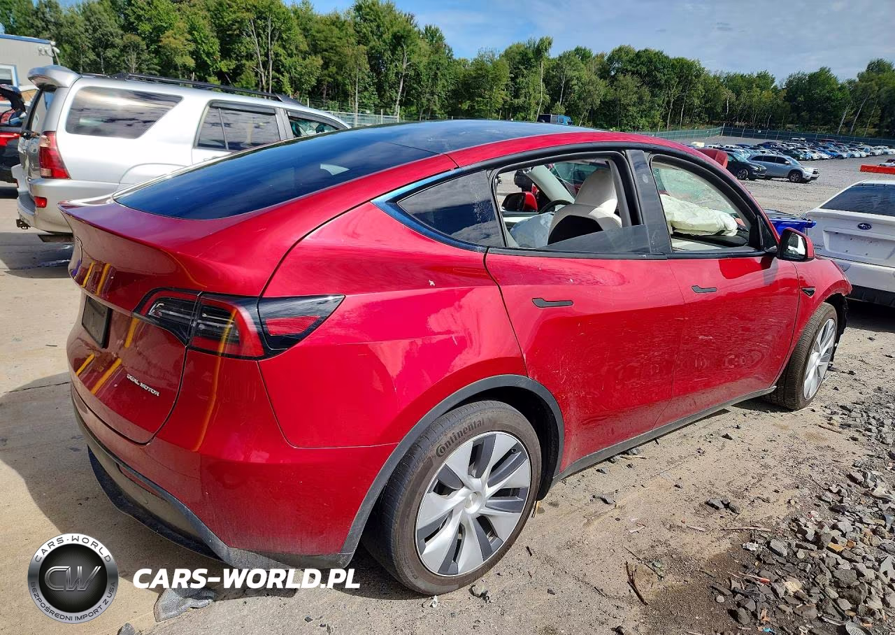 2024 Tesla Model Y VIN:7SAYGAEE3RF990362 - 3