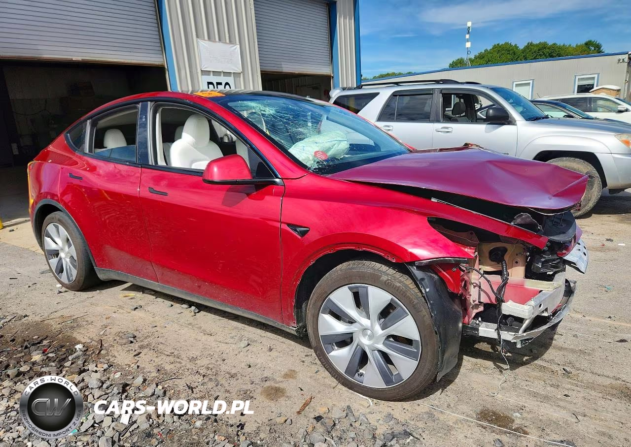 2024 Tesla Model Y VIN:7SAYGAEE3RF990362 - 4