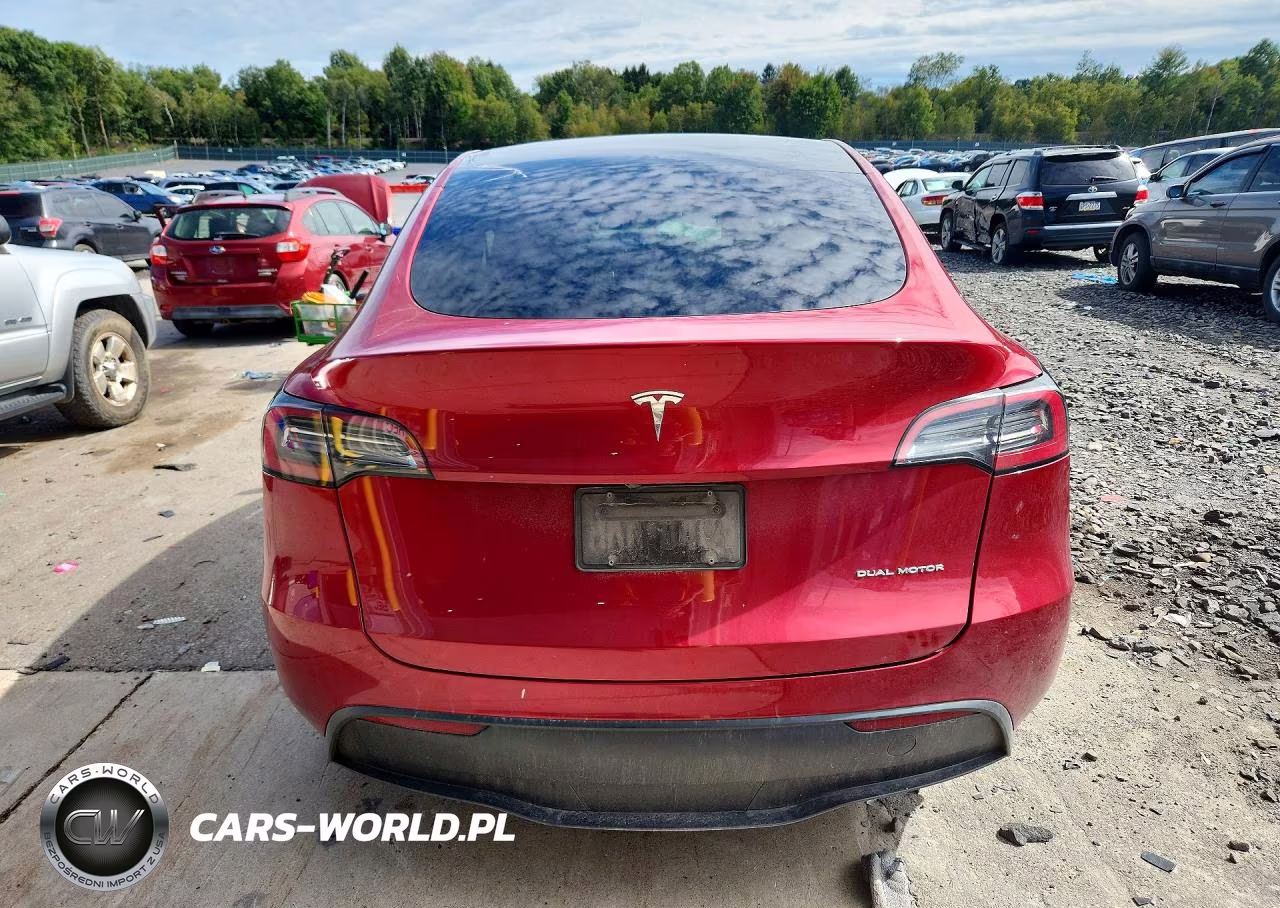 2024 Tesla Model Y VIN:7SAYGAEE3RF990362 - 6