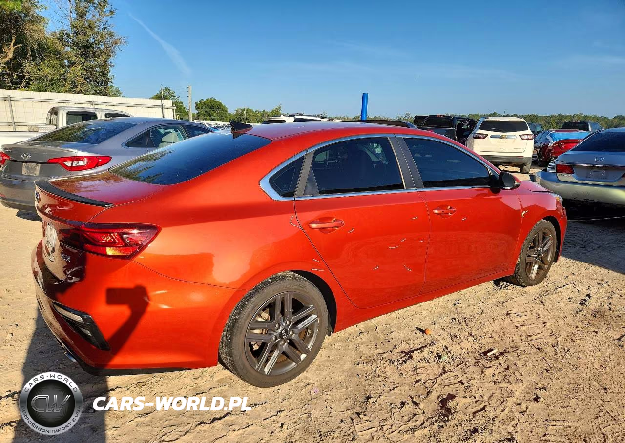 2019 Kia Forte Ex VIN:3KPF54AD7KE068262 - 3