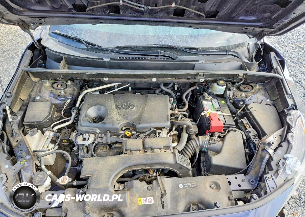 2019 Toyota Rav4 Xle VIN:JTMW1RFV8KD019082 - 11