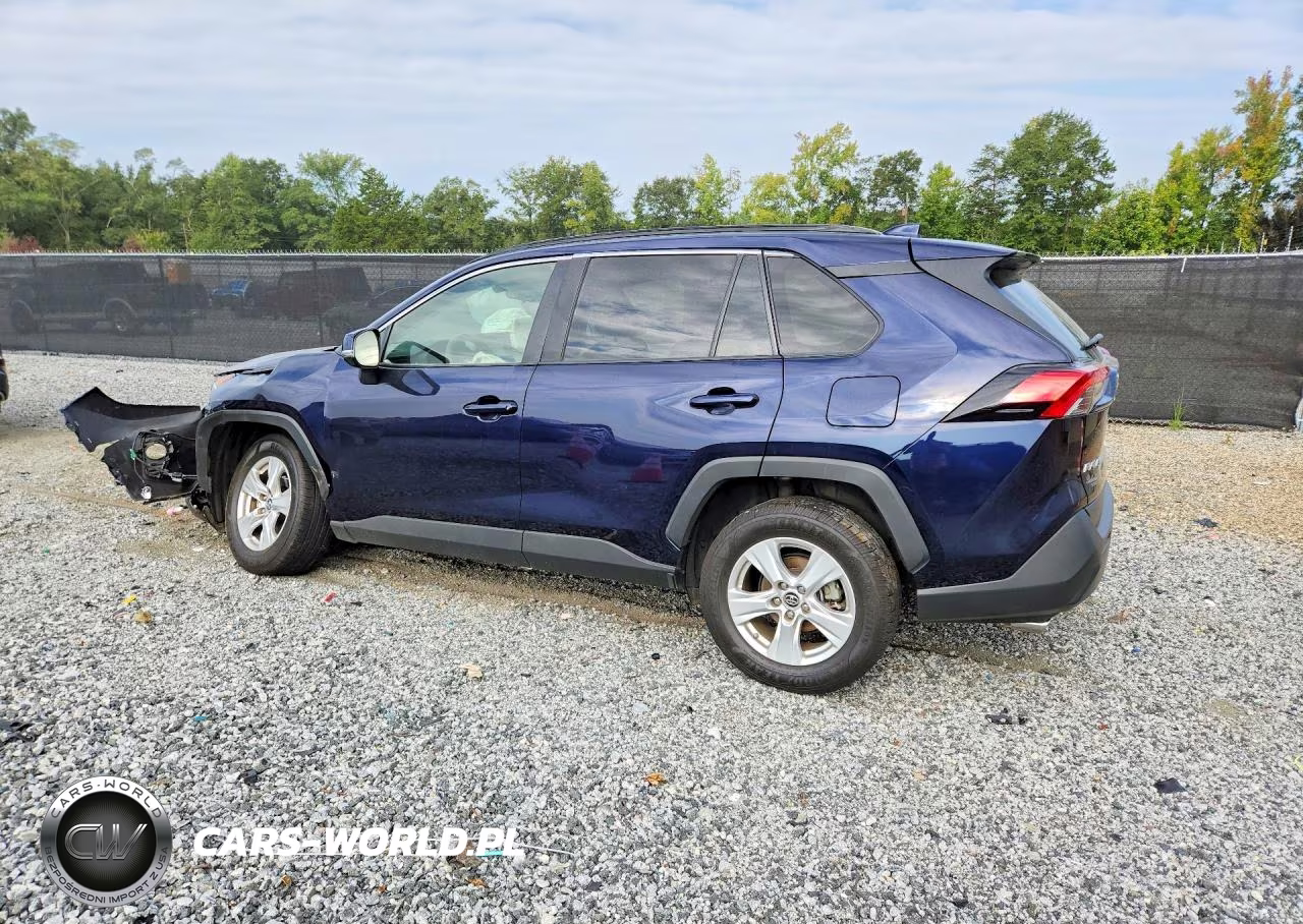 2019 Toyota Rav4 Xle VIN:JTMW1RFV8KD019082 - 2