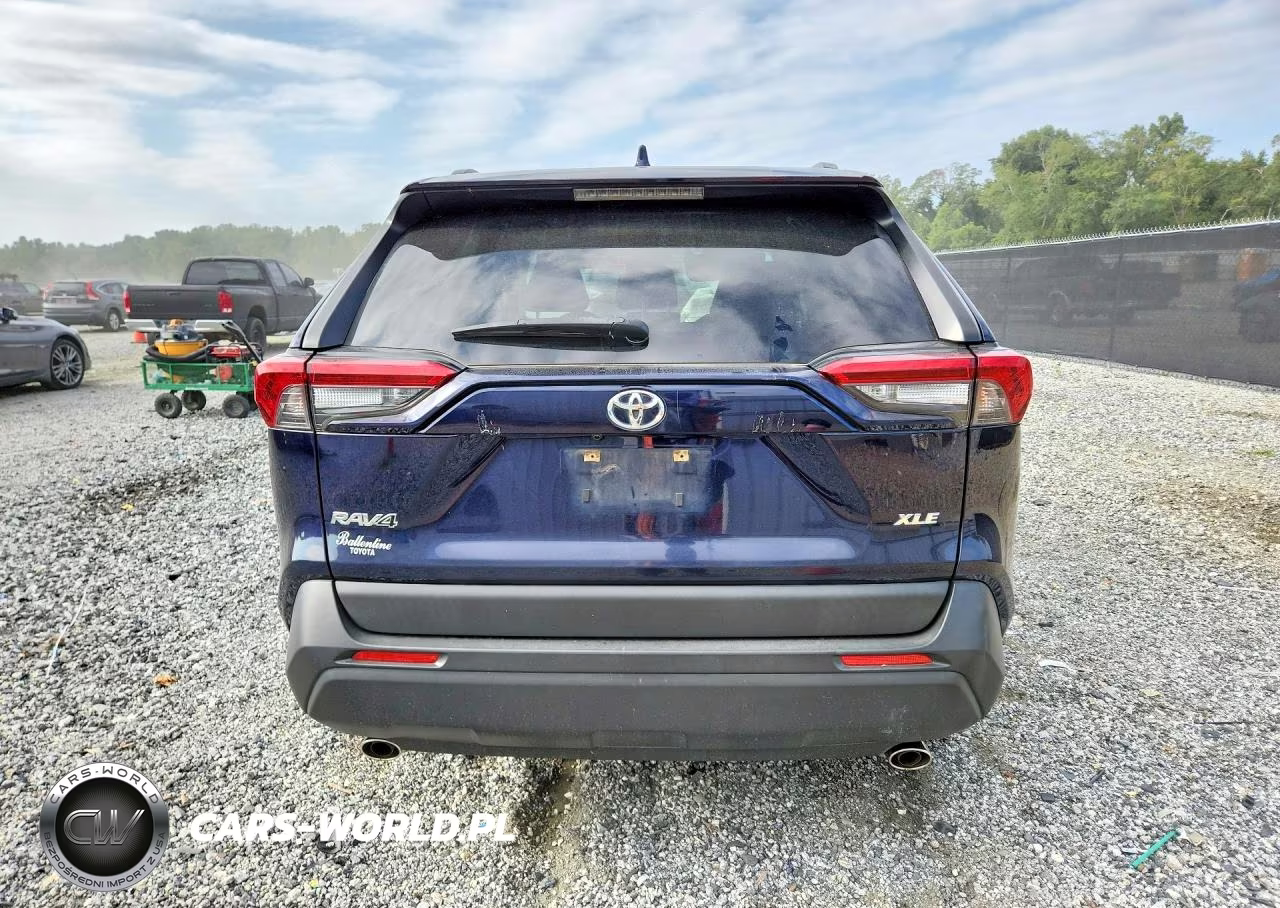 2019 Toyota Rav4 Xle VIN:JTMW1RFV8KD019082 - 6