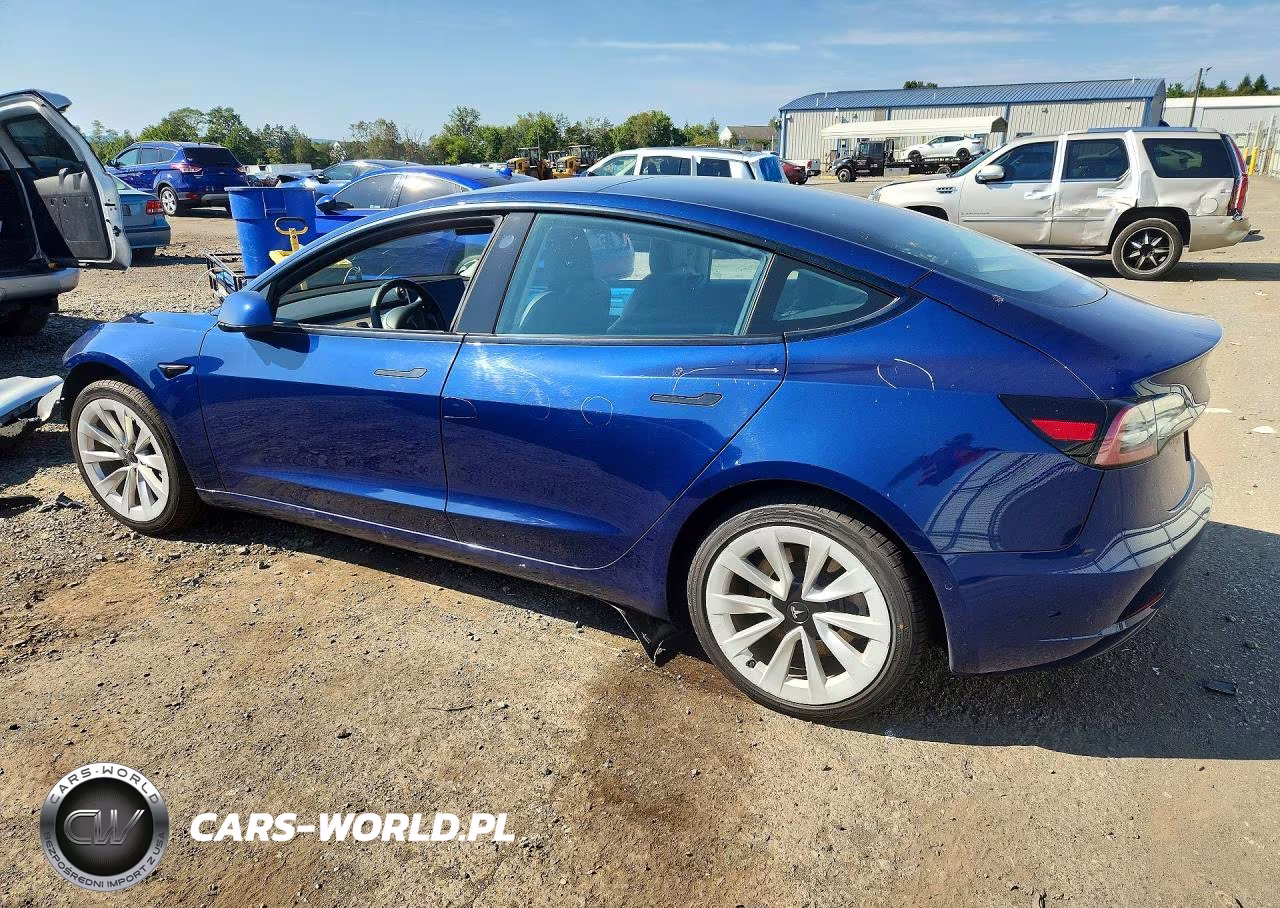 2022 Tesla Model 3 VIN:5YJ3E1EA1NF190843 - 2