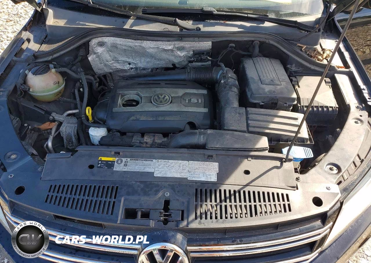 2017 Volkswagen Tiguan Wolfsburg VIN:WVGSV7AX8HW507523 - 12