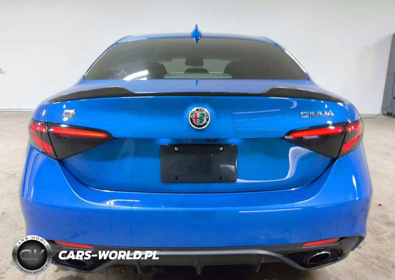 2018 Alfa Romeo Giulia Q4 VIN:ZARFAEDN6J7588978 - 6