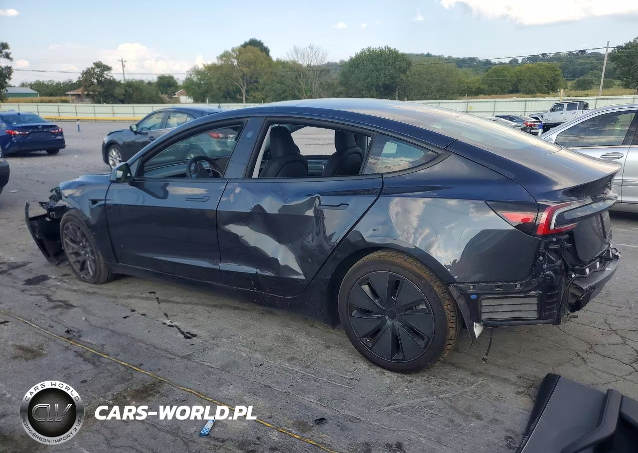2025 Tesla Model 3 Long Range Rear-Wheel Drive-Standard Rear-Wheel Drive VIN:5YJ3E1EA2SF070478 - 2