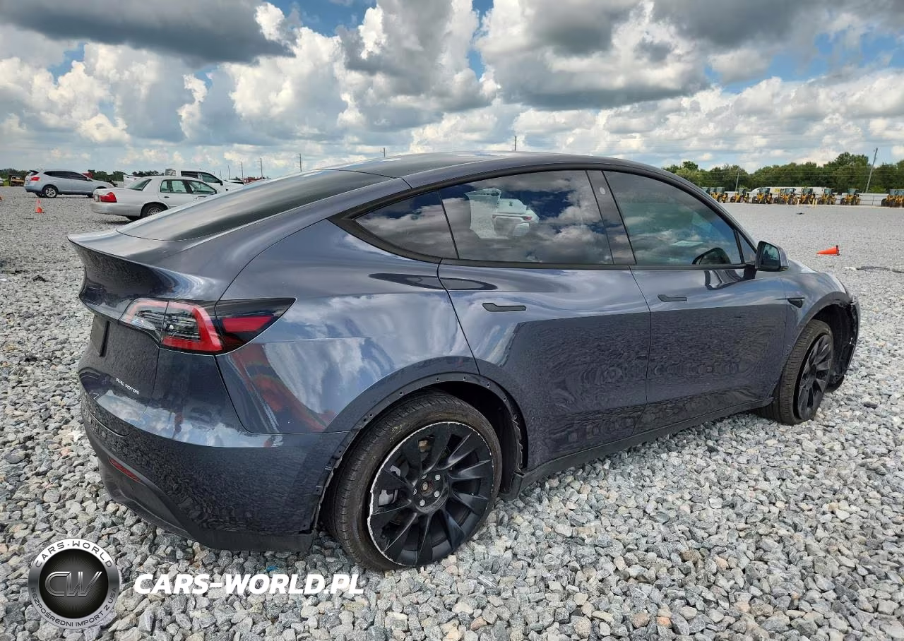 2023 Tesla Model Y VIN:7SAYGDEE2PA058214 - 3