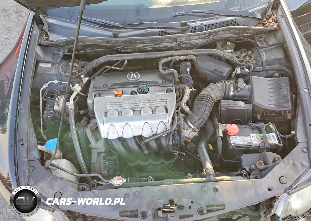 2010 Acura Tsx VIN:JH4CU2F65AC004066 - 11