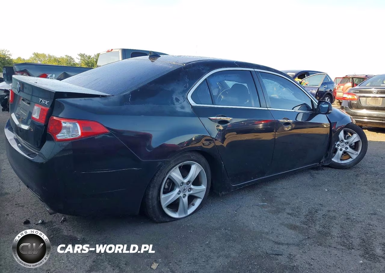 2010 Acura Tsx VIN:JH4CU2F65AC004066 - 3