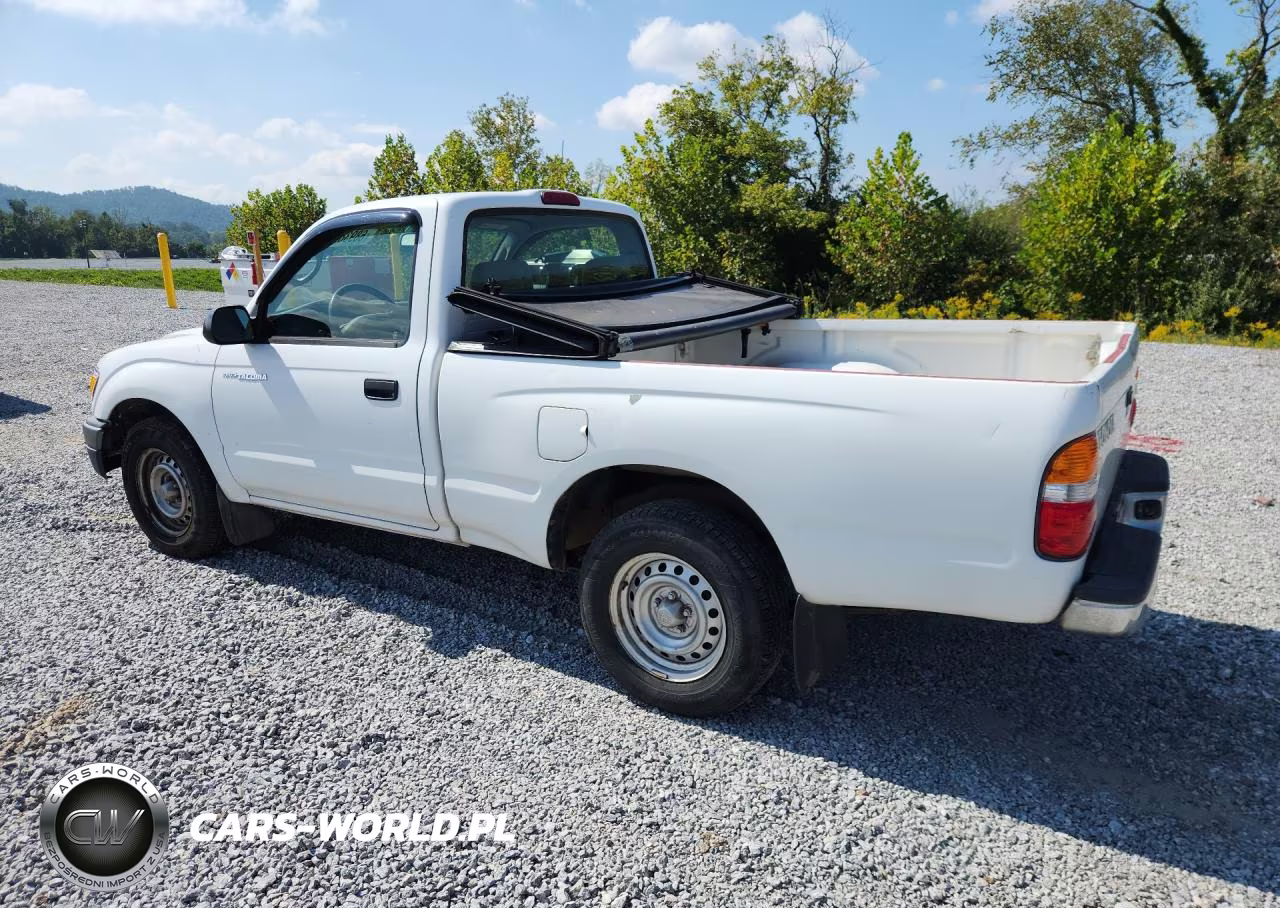 2004 Toyota Tacoma Base VIN:5TENL42N84Z407289 - 2