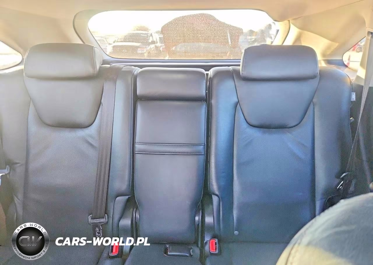 2010 Lexus Rx 350 VIN:JTJZK1BA9A2408836 - 10