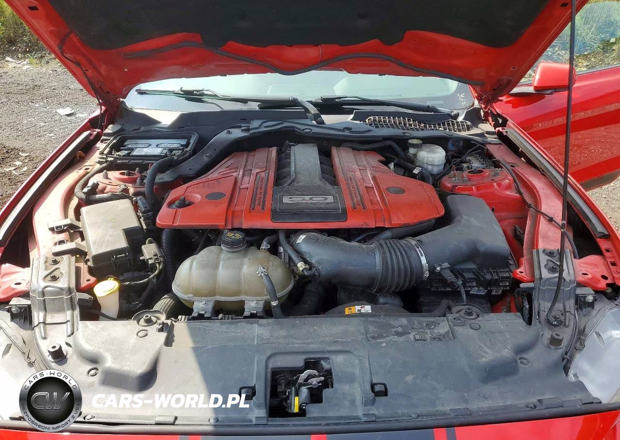 2018 Ford Mustang Gt VIN:1FA6P8CF0J5143822 - 11