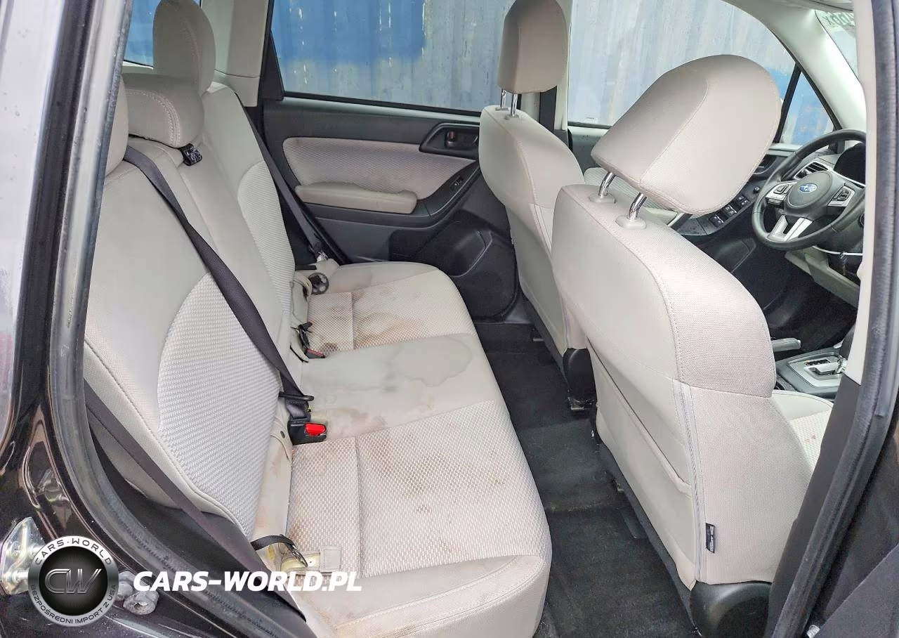 2017 Subaru Forester 2.5I Premium VIN:JF2SJAEC3HH456393 - 10