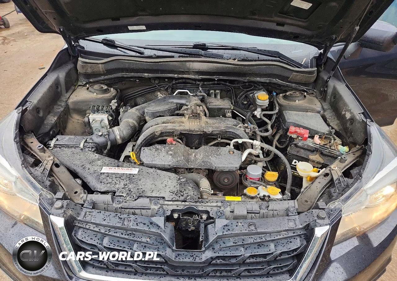 2017 Subaru Forester 2.5I Premium VIN:JF2SJAEC3HH456393 - 11