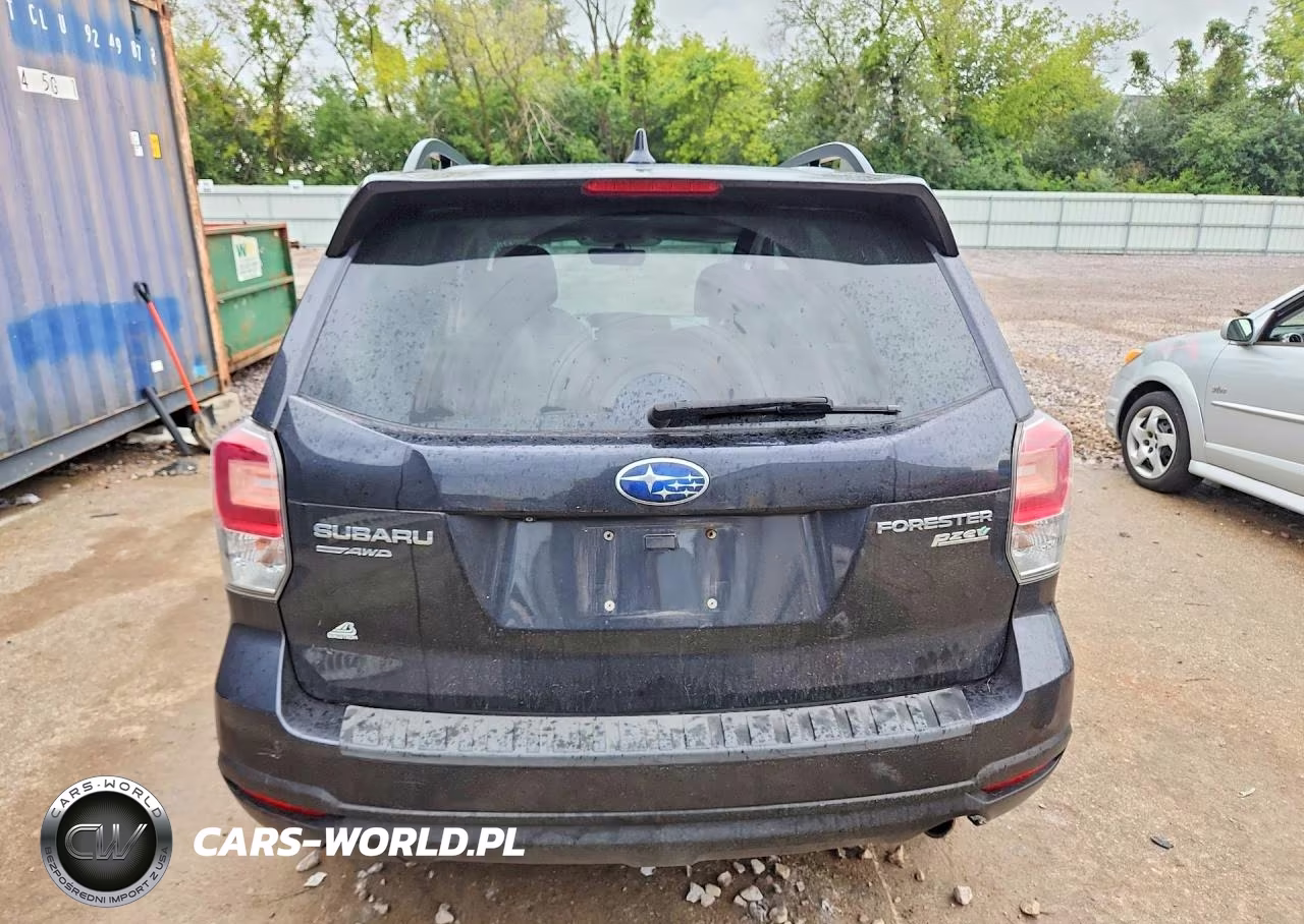 2017 Subaru Forester 2.5I Premium VIN:JF2SJAEC3HH456393 - 6