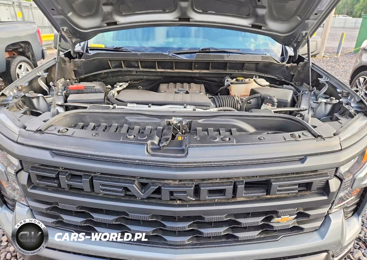 2023 Chevrolet Silverado K1500 VIN:1GCRDAEK2PZ220273 - 11