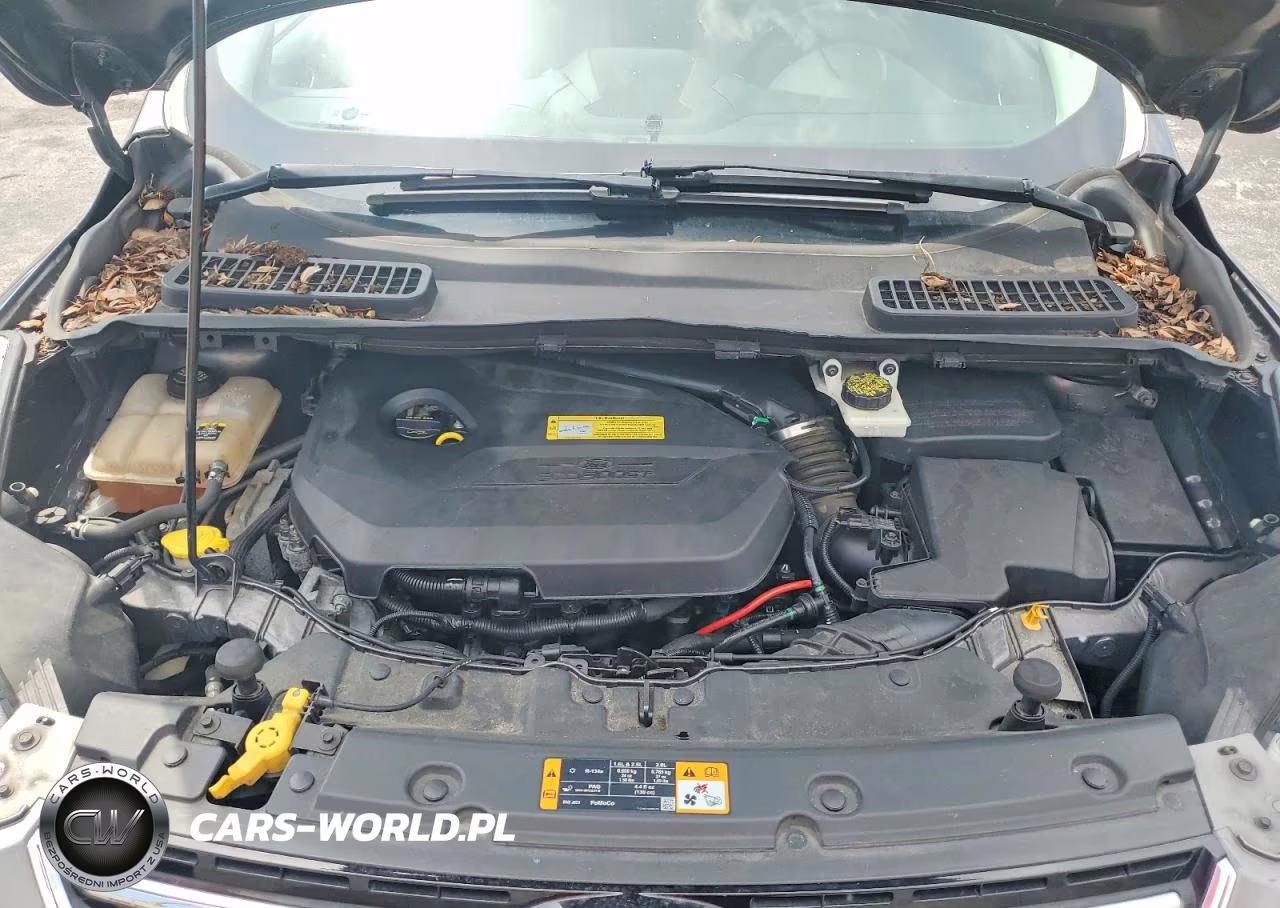 2013 Ford Escape Sel VIN:1FMCU0HX2DUC99259 - 12