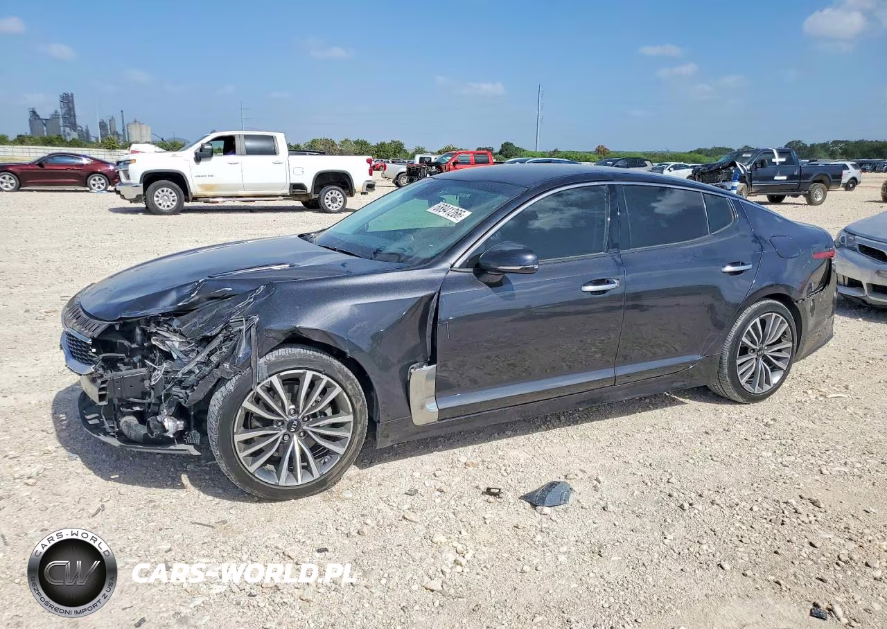 2019 Kia Stinger Base VIN:KNAE15LA3K6066964 - 1
