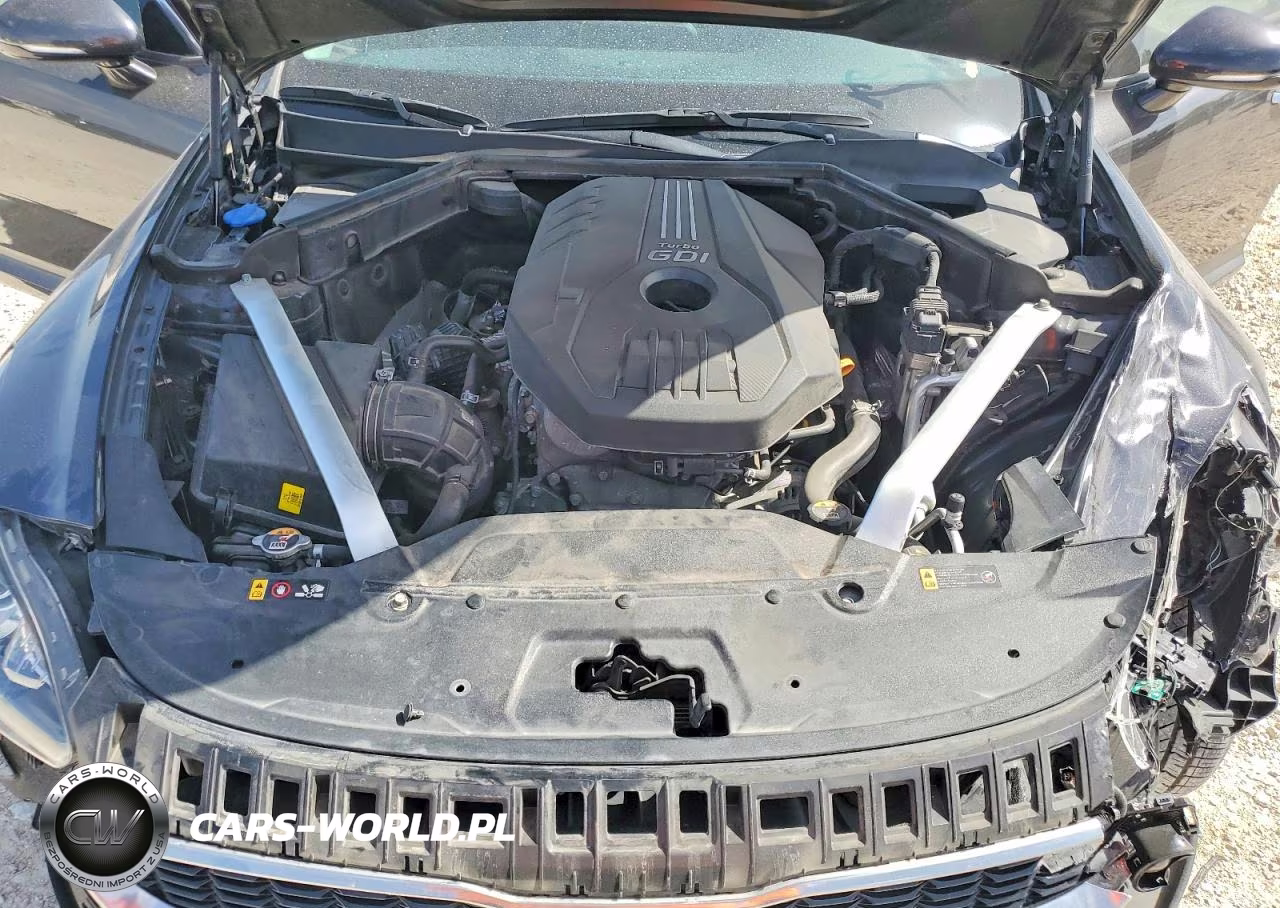 2019 Kia Stinger Base VIN:KNAE15LA3K6066964 - 11