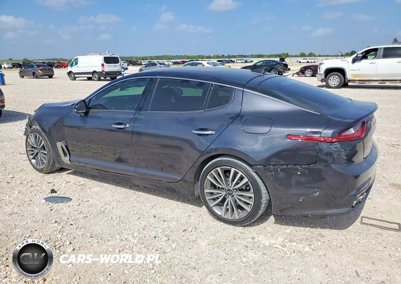 2019 Kia Stinger Base VIN:KNAE15LA3K6066964 - 2