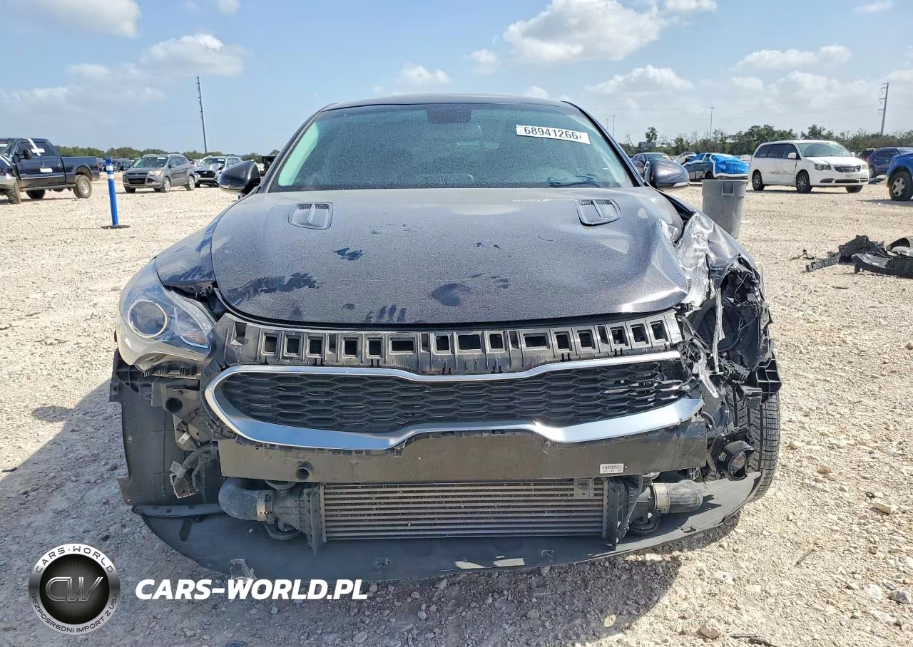 2019 Kia Stinger Base VIN:KNAE15LA3K6066964 - 5