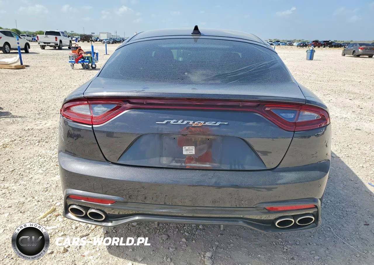 2019 Kia Stinger Base VIN:KNAE15LA3K6066964 - 6