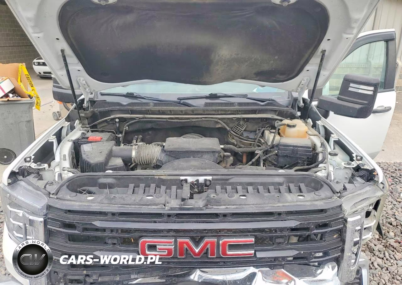 2020 GMC Sierra K2500 Heavy Duty VIN:1GT59LE78LF236335 - 11