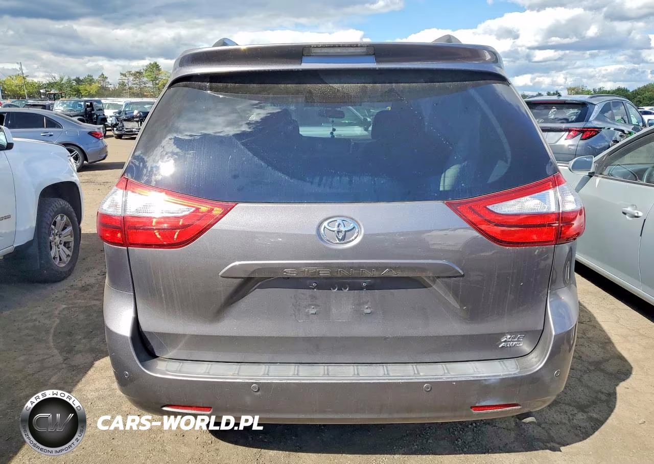 2016 Toyota Sienna Xle Premium 7-Passenger VIN:5TDDK3DC4GS131666 - 6