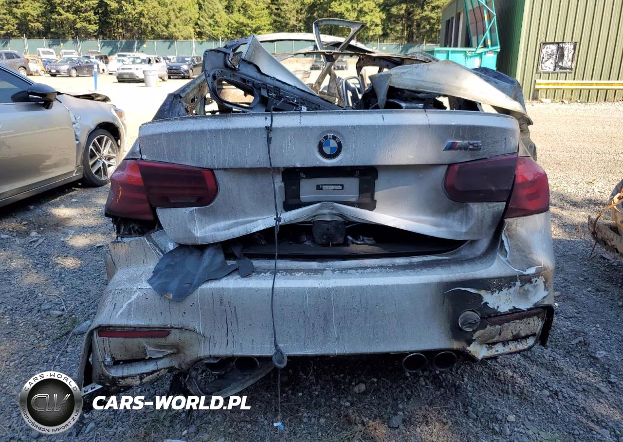 2016 BMW M3 VIN:WBS8M9C58G5E68294 - 6