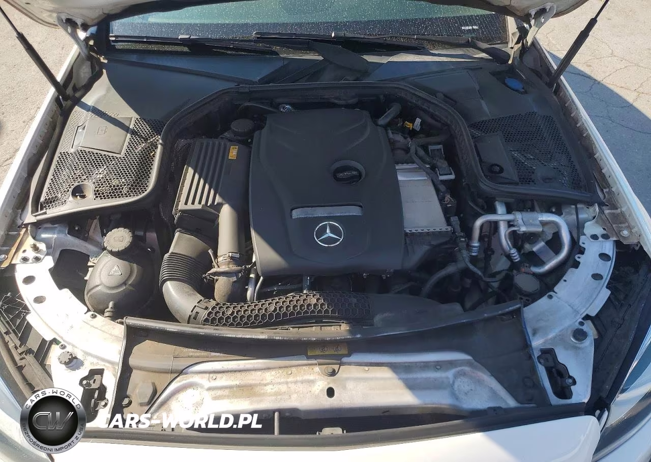 2017 Mercedes-Benz C 300 VIN:55SWF4JB8HU193090 - 11