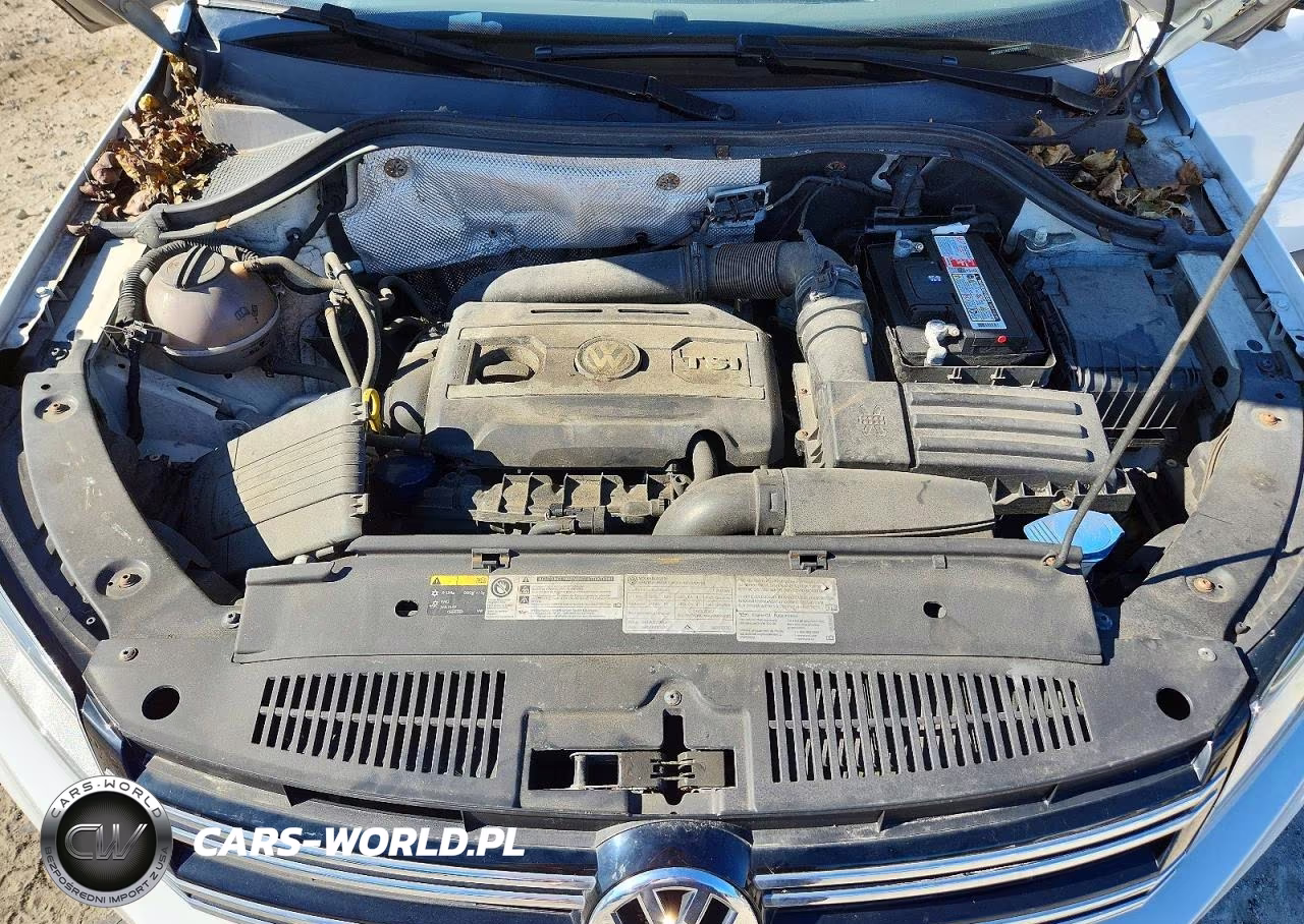 2016 Volkswagen Tiguan S VIN:WVGBV7AX1GW525893 - 12