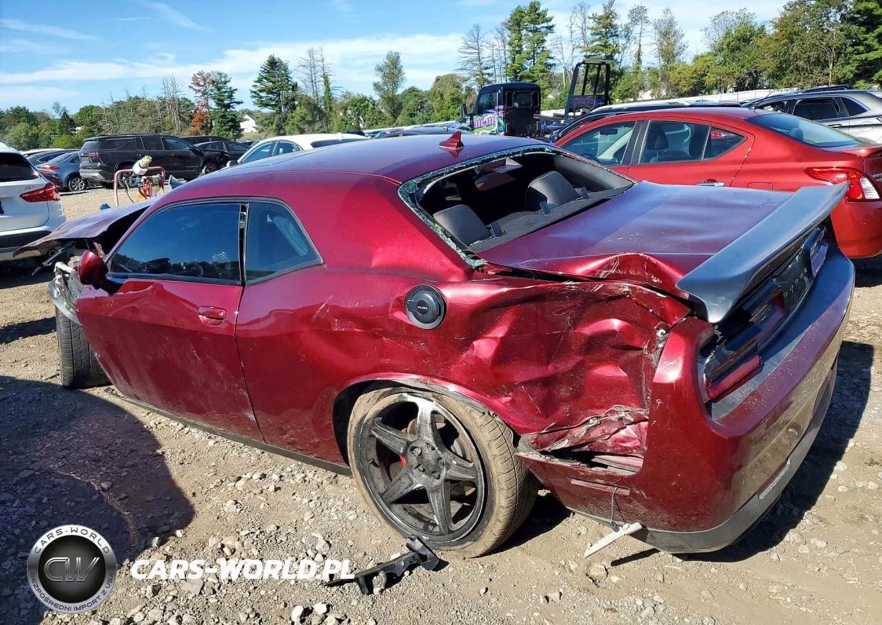 2019 Dodge Challenger Srt Hellcat VIN:2C3CDZC92KH595890 - 2