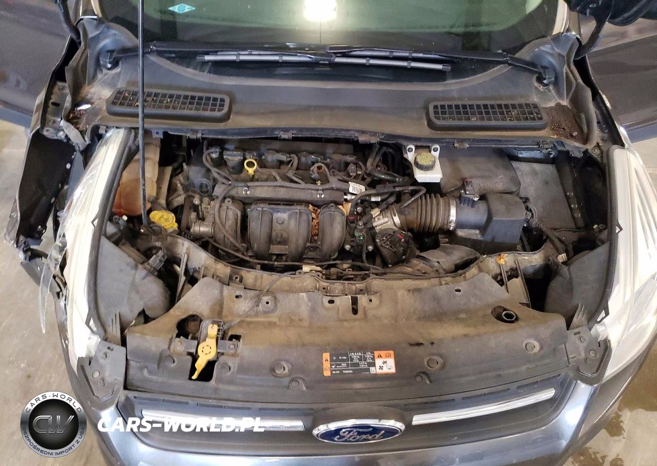2015 Ford Escape Se VIN:1FMCU0G71FUC79508 - 12