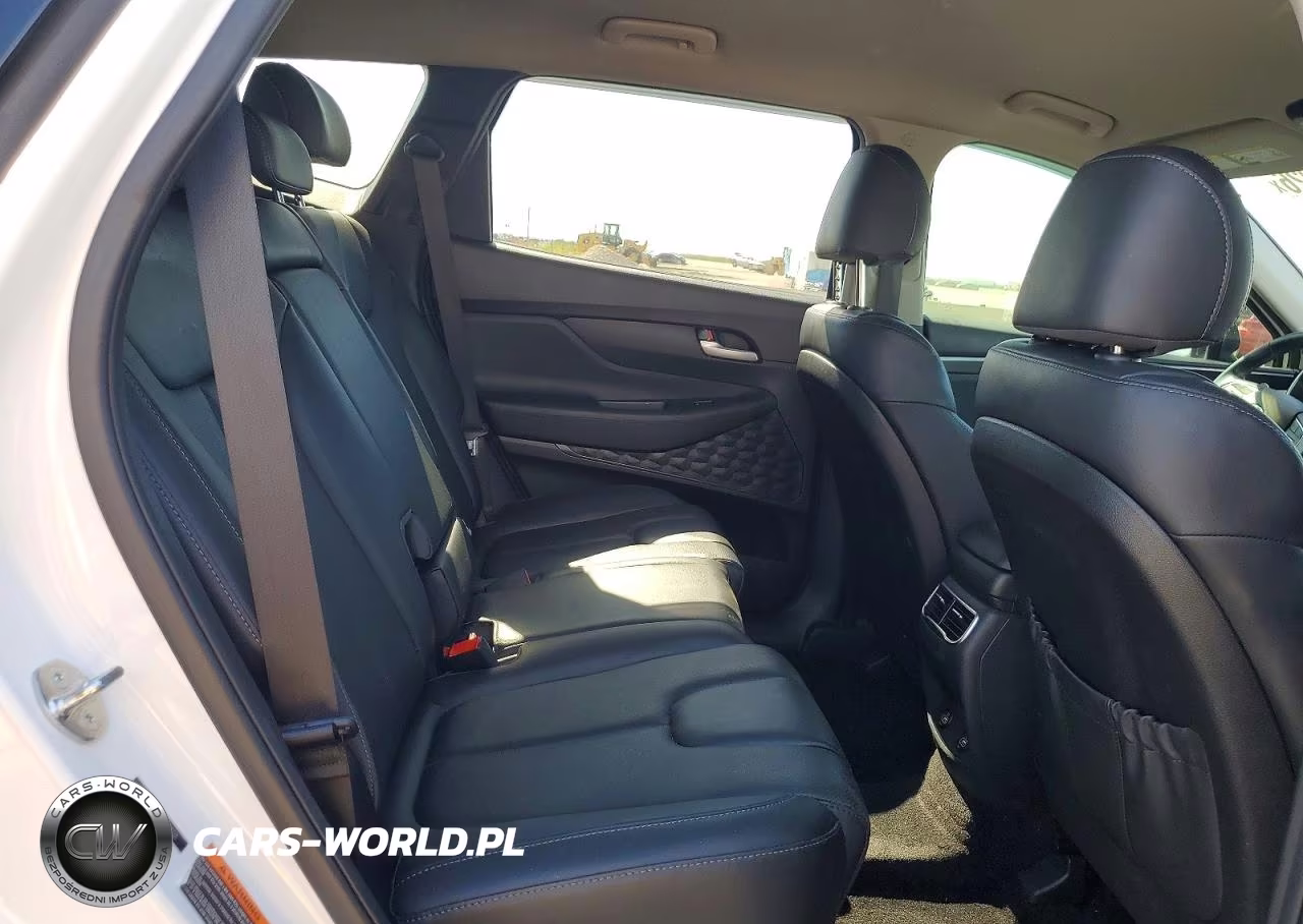 2023 Hyundai Santa Fe Xrt VIN:5NMS64AJ8PH608218 - 11