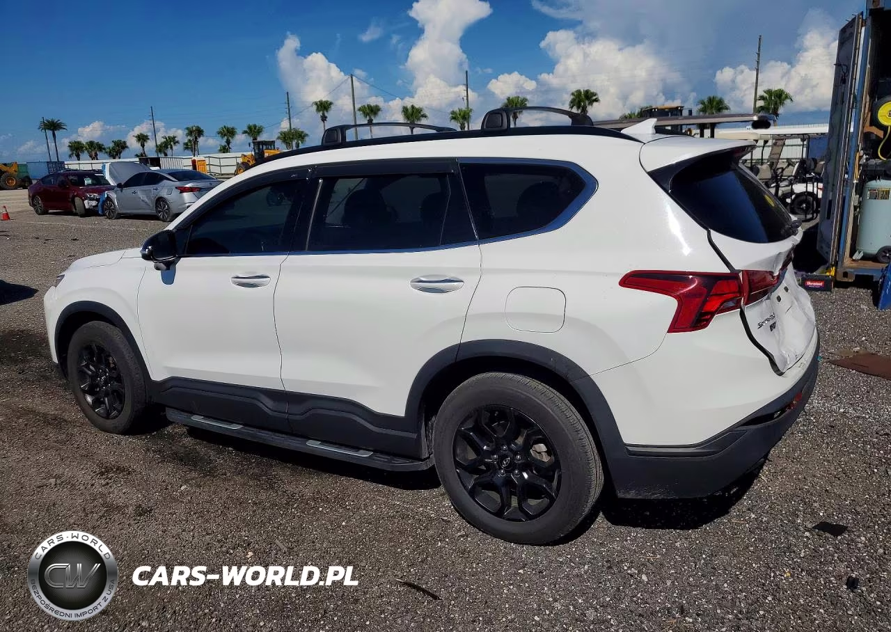2023 Hyundai Santa Fe Xrt VIN:5NMS64AJ8PH608218 - 2